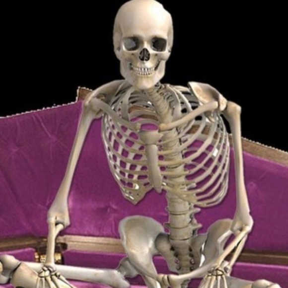 Meet your Posher, AC - Picture 1 of 1